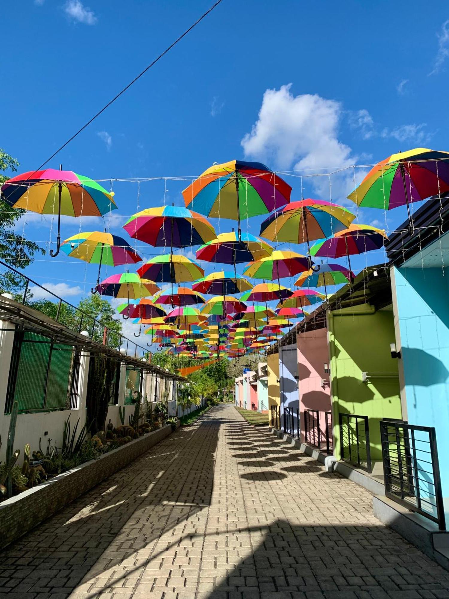 Sunshine Stay Panglao Kültér fotó